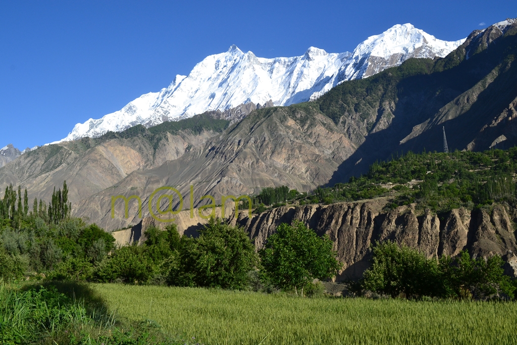 Rakaposhi